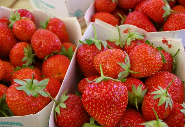 Mara des Bois, Gariguette, Charlotte : il y a vraiment une différence entre ces variétés de fraises ?