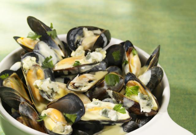 Moules au roquefort économique