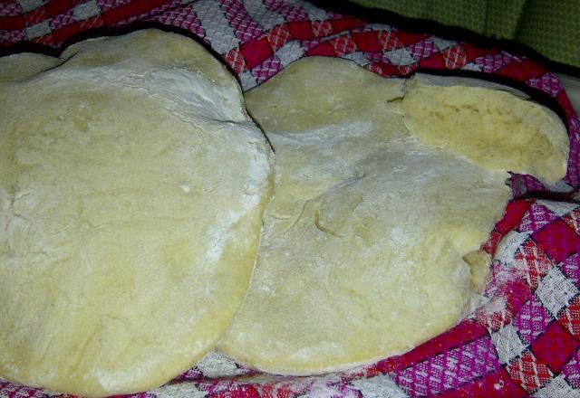 Syrian bread (pain syrien)