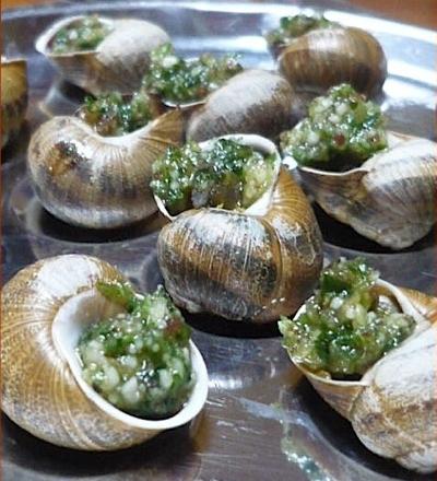 Escargots en persillade à la catalane