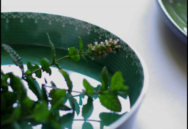 Courgettes à l'escabèche, menthe basilic, feta, citron confit