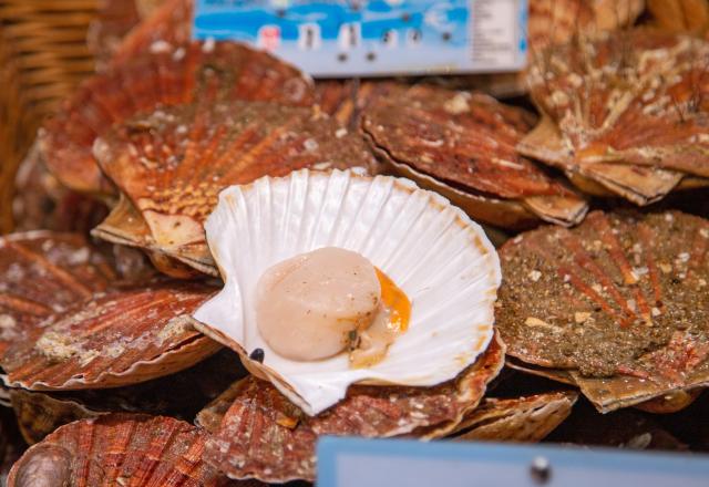 “Une idée pour le réveillon” : Laurent Mariotte propose une recette de Saint-Jacques originale et gourmande !