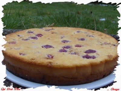 Gâteau aux framboises