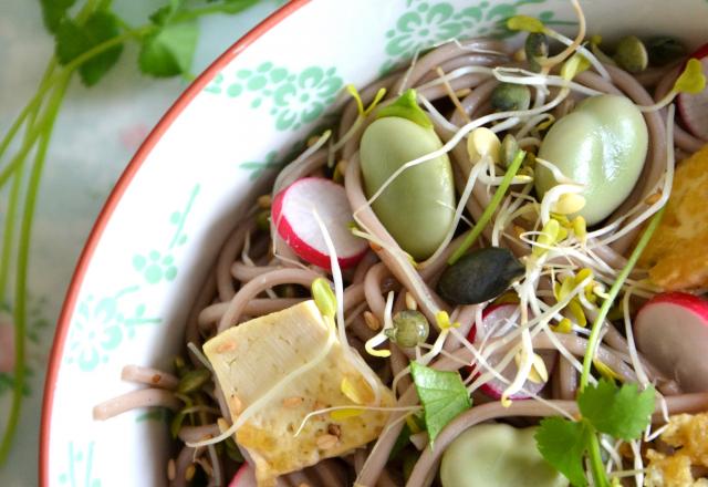 Salade printanière de nouilles soba aux graines germées, fèves et tofu sauté