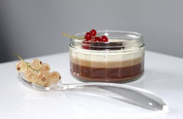 Panna cotta tri-gout