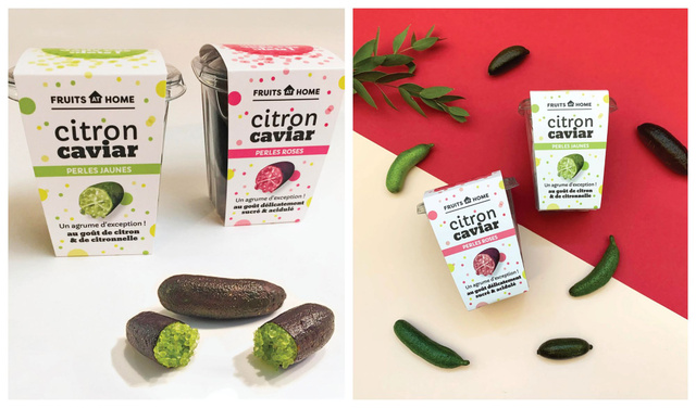 Crédit Photo : Julie Rignanese