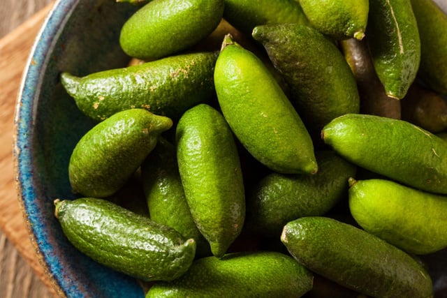 Crédit photo : Stock-Adobe