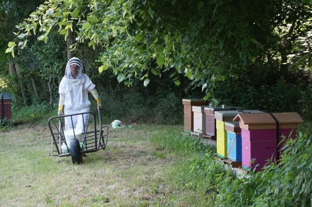 Les “Coups de pousse” de 750g : des nouvelles des projets soutenus