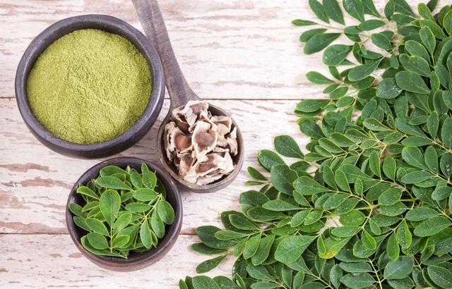 Qu'est-ce que le moringa, l'aliment le plus complet au monde ? Adobestock