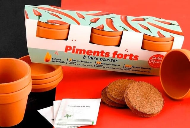 Notre sélection de cadeaux pour la fête des pères : du classique à l'inattendu