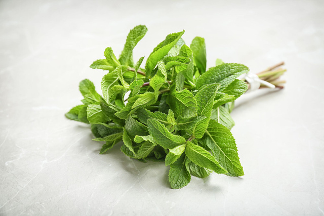 Ce bouquet de menthe va faire merveille dans votre cuisine