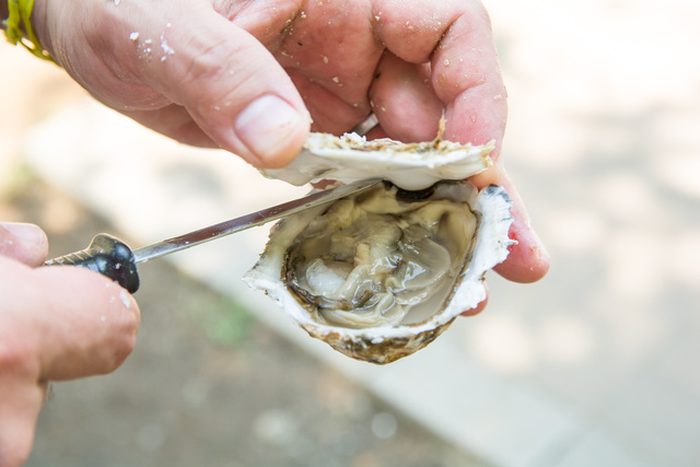 Vous allez ouvrir des huîtres pour le Nouvel an ? Le chef Eric Fréchon vous montre comment le faire facilement