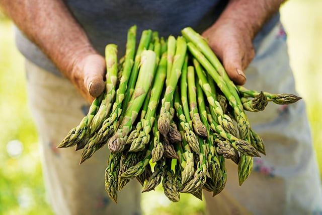 Ce légume de saison est le meilleur anti-inflammatoire naturel du printemps