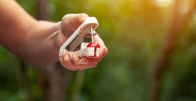 Comment dénoyauter rapidement des cerises avec ou sans dénoyauteur ?