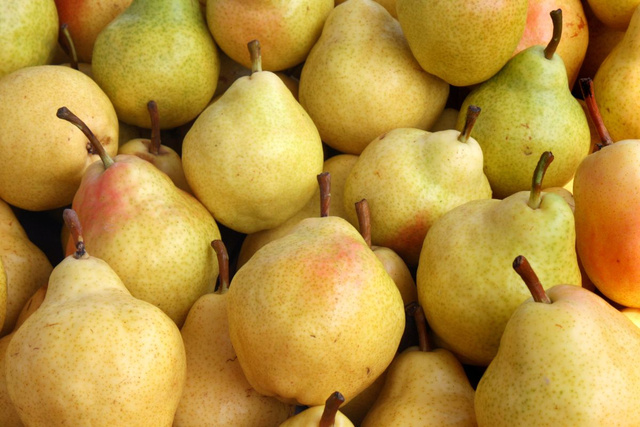 Quelles variétés de poires choisir en ce moment ? Les conseils d’une Meilleure ouvrière de France