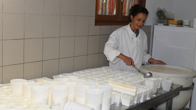 Les “Coups de pousse” de 750g pour les fromages fermiers d’Alexandra en Haut-Beaujolais