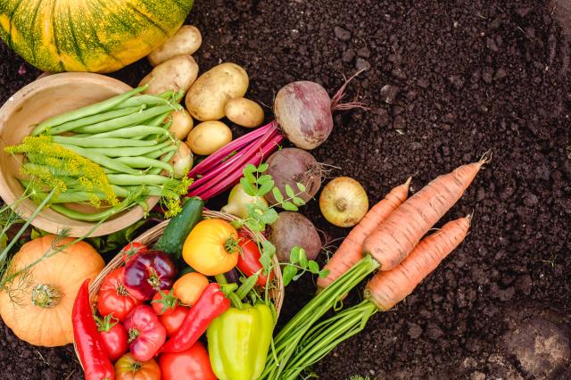 Jardinier débutant : voici les 10 légumes les plus faciles à faire pousser