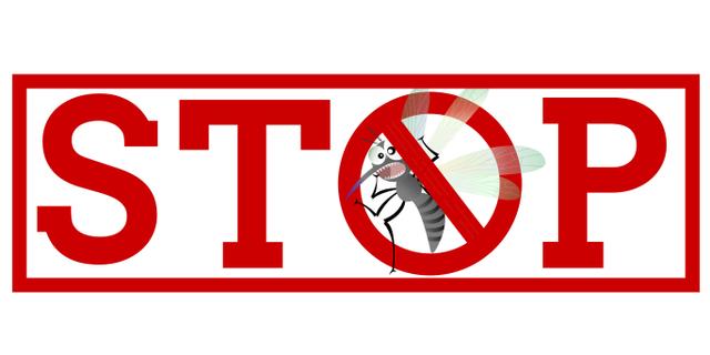 @ Adobe Stock/ Stop aux moustiques avec ce piège