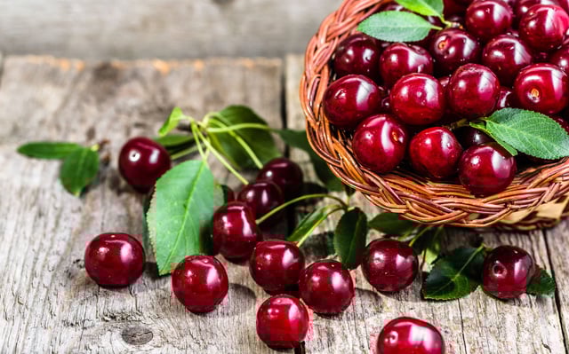 Comment bien conserver ses cerises ?