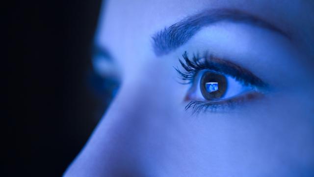 La lumière bleue, entre bénéfices et risques. Adobestock