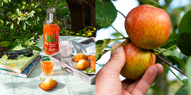Le Club 750g : recevez gratuitement ce jus de pommes garanties 0 traitement, testez-le et donnez votre avis !