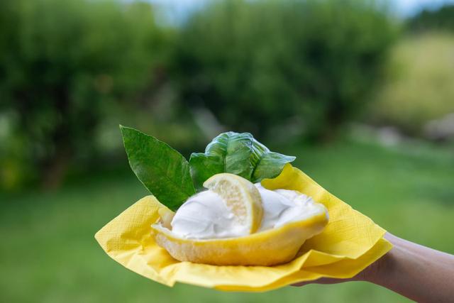 Ce dessert est aussi bon que beau ! Un sorbet citron-fraises présenté directement dans le fruit