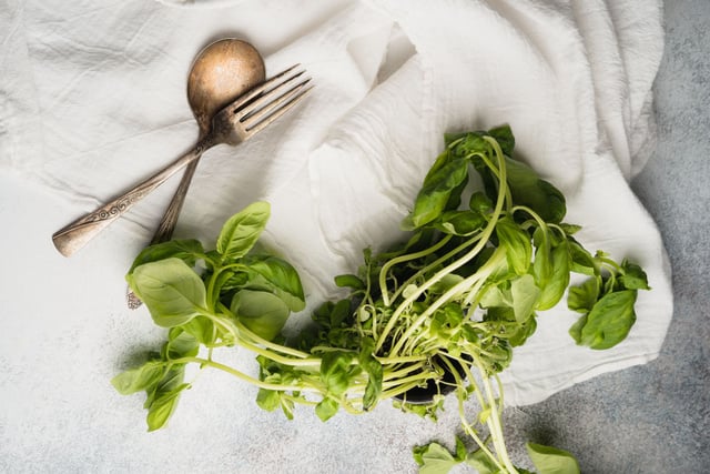 Que faire comme recettes avec du basilic frais qui commence à flétrir ?