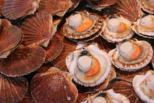Manger des coquilles Saint-Jacques gratuitement : le meilleur bon plan de Paris !