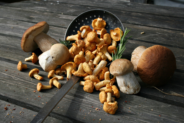 Champignons : la méthode infaillible pour bien les nettoyer sans les abîmer