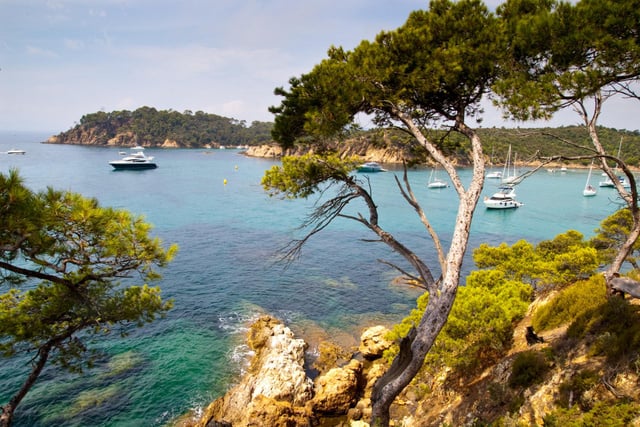 Les 8 spécialités à absolument déguster lors d'un séjour dans le Var