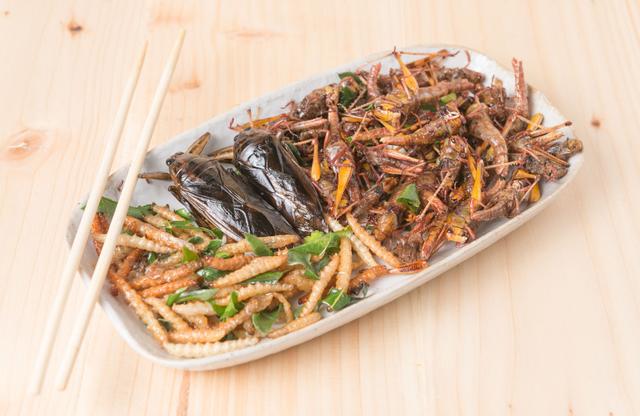 Mangera-t-on des insectes demain ? Adobestock