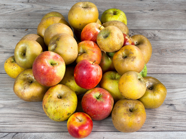 Pourquoi les fruits et légumes bio sont-ils si chers ?