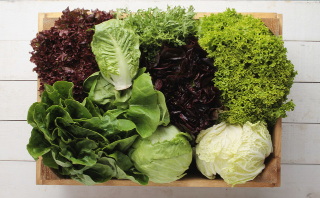 Voici les 3 variétés de salades les plus riches en nutriments à privilégier