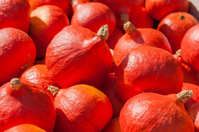 Alerte rappel produit : Si vous aimez le potimarron, faites attention !