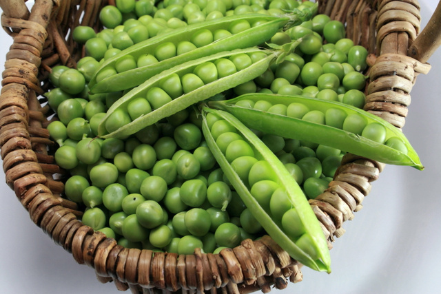 Que se passe-t-il dans notre corps quand on mange des petits pois frais ?