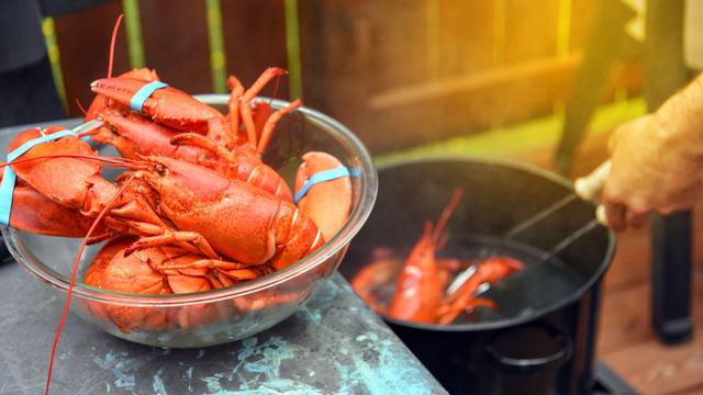 Comment cuire un homard ?