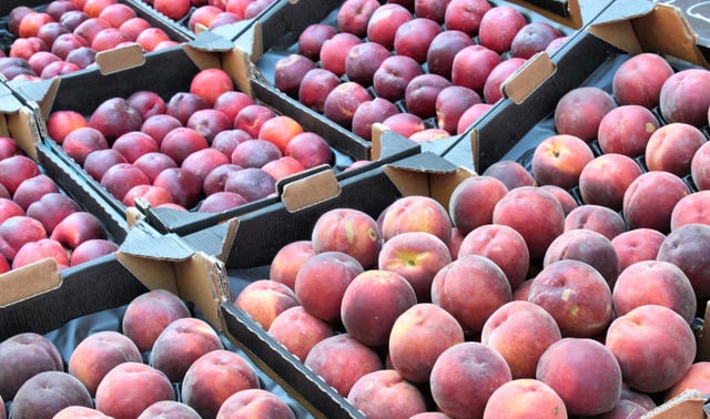 Rappel produit chez Carrefour : ces pêches et nectarines ne doivent pas être consommées en raison d'un risque de contamination chimique