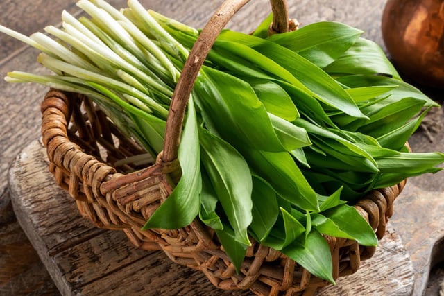 Oublier le pesto ! Voici une manière pour savourer l'ail des ours avec seulement du beurre et du pain