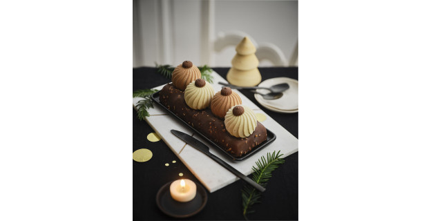 Bûche aux noisettes et aux pistaches. Picard