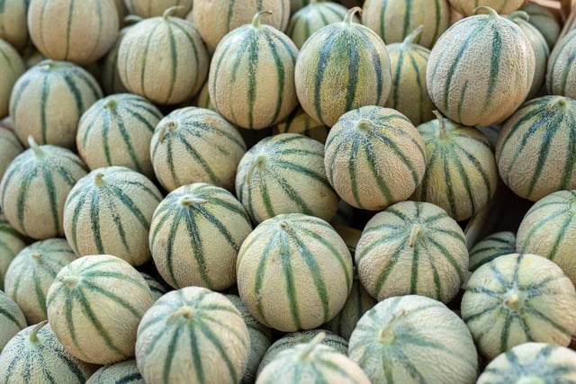 Rappel produit : ce melon ne doit plus être consommé en raison d'un excès de pesticides