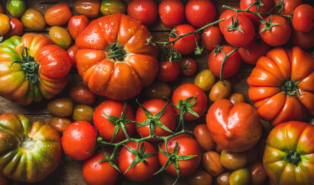 Tomate cerise ou ordinaire : lequel de ces deux fruits est le meilleur pour la santé ?