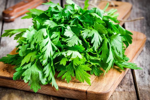 Persil plat ou persil frisé : attention, ces deux herbes aromatiques n’ont pas la même utilisation en cuisine !