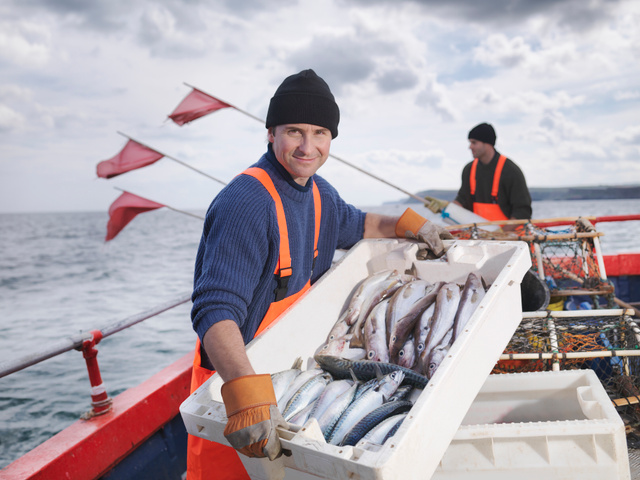 Une grosse enseigne de supermarché vient de signer un accord avec WWF pour soutenir la pêche durable