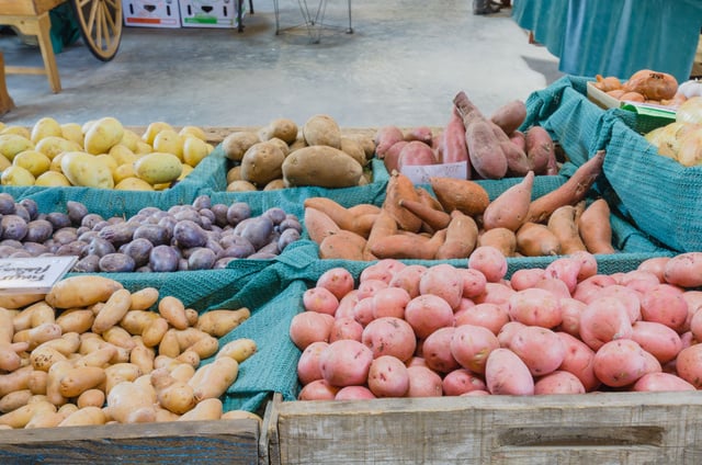 Pourquoi mes pommes de terre ne sont pas cuites dans mon gratin ?