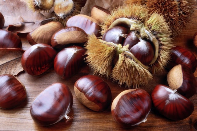 Ramassage des châtaignes : quelles sont les règles à respecter pour ne pas enfreindre la loi ?