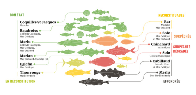 Populations classées selon leur état. Crédits : Ifremer