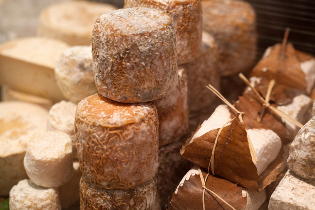 Alerte rappel produit : quels sont les fromages de chèvre qu’il ne faut surtout pas consommer ?