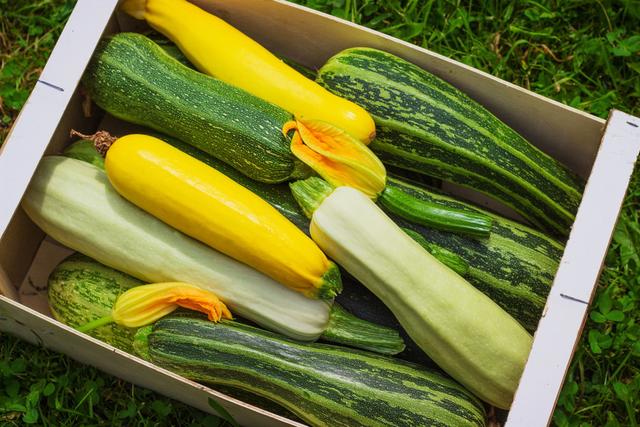 Faut-il garder ou retirer la peau de la courgette ?