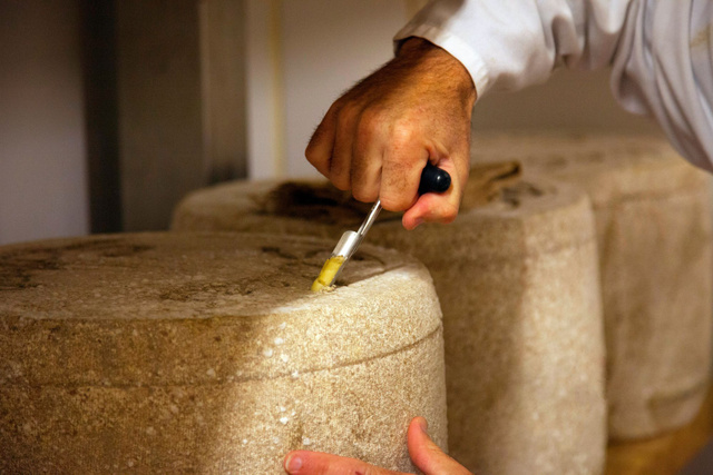 La production de Salers AOP est suspendue. Adobestock