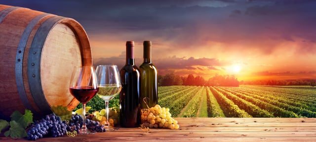 Black Friday : alerte bon plan, économisez 400€ sur cette cave à vin !